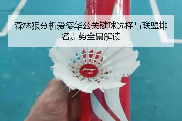 森林狼分析爱德华兹关键球选择与联盟排名走势全景解读 - pg
